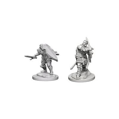 Nolzur's Marvelous Miniatures Human Paladin Wave 3 72629 image 0
